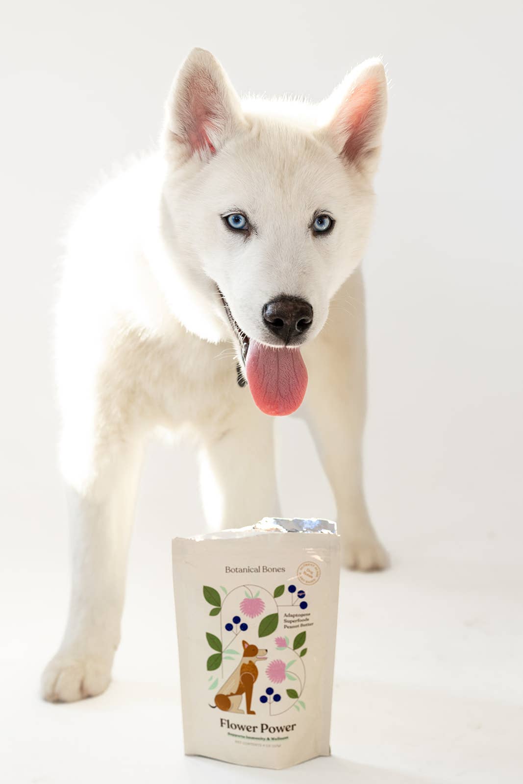 Botanical Bones - Vente Friandises – chien - Flower Power Biscuits naturels et biologiques pour chiens11