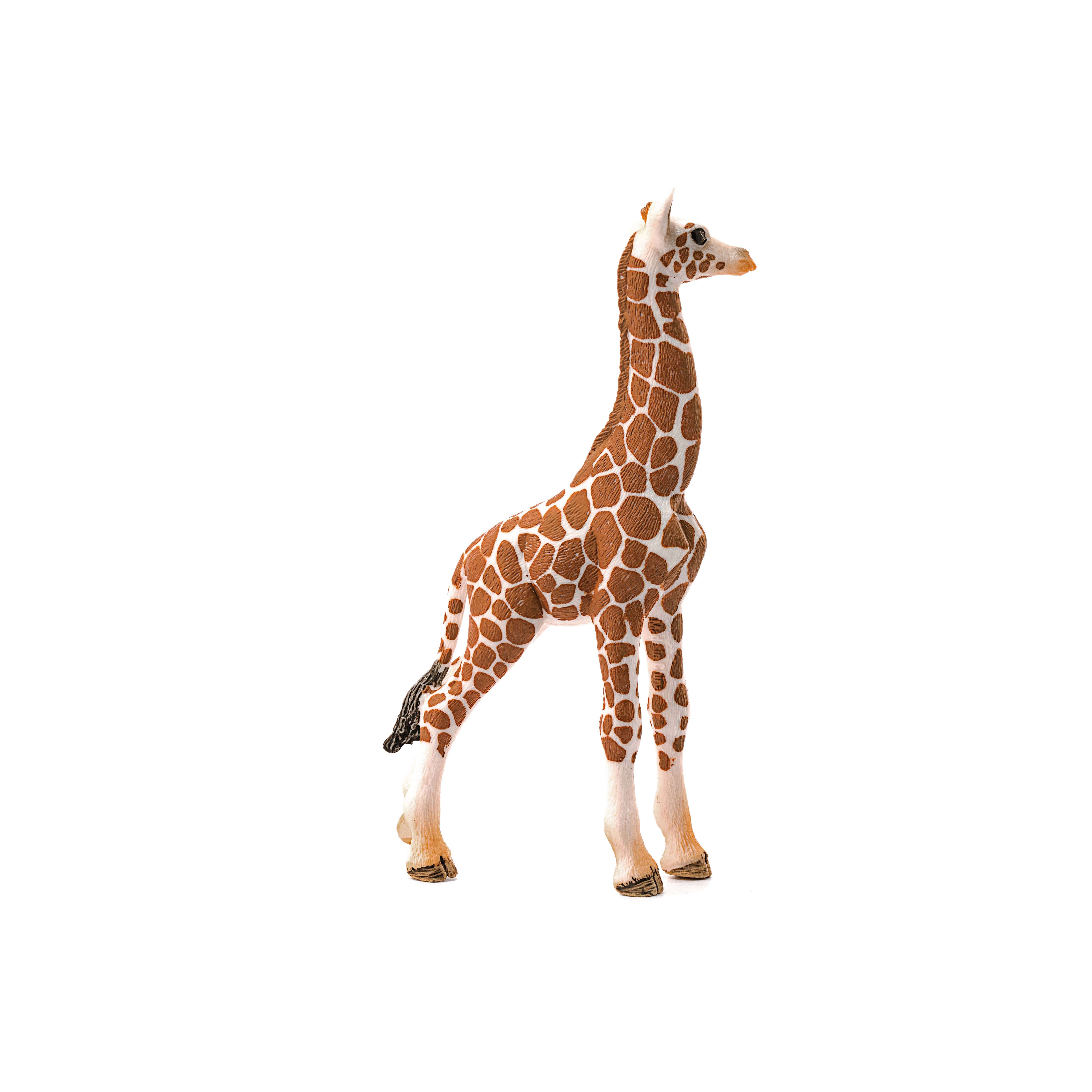 Schleich - Wholesale Figurine Toy - Kids - Giraffe Calf Safari Animal Toy2