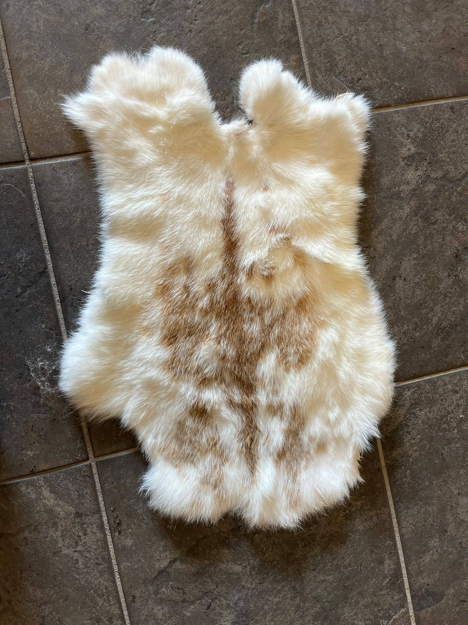 WeeSkins Holland – Großhandel Teppichvorleger – Kaninchenfelle3