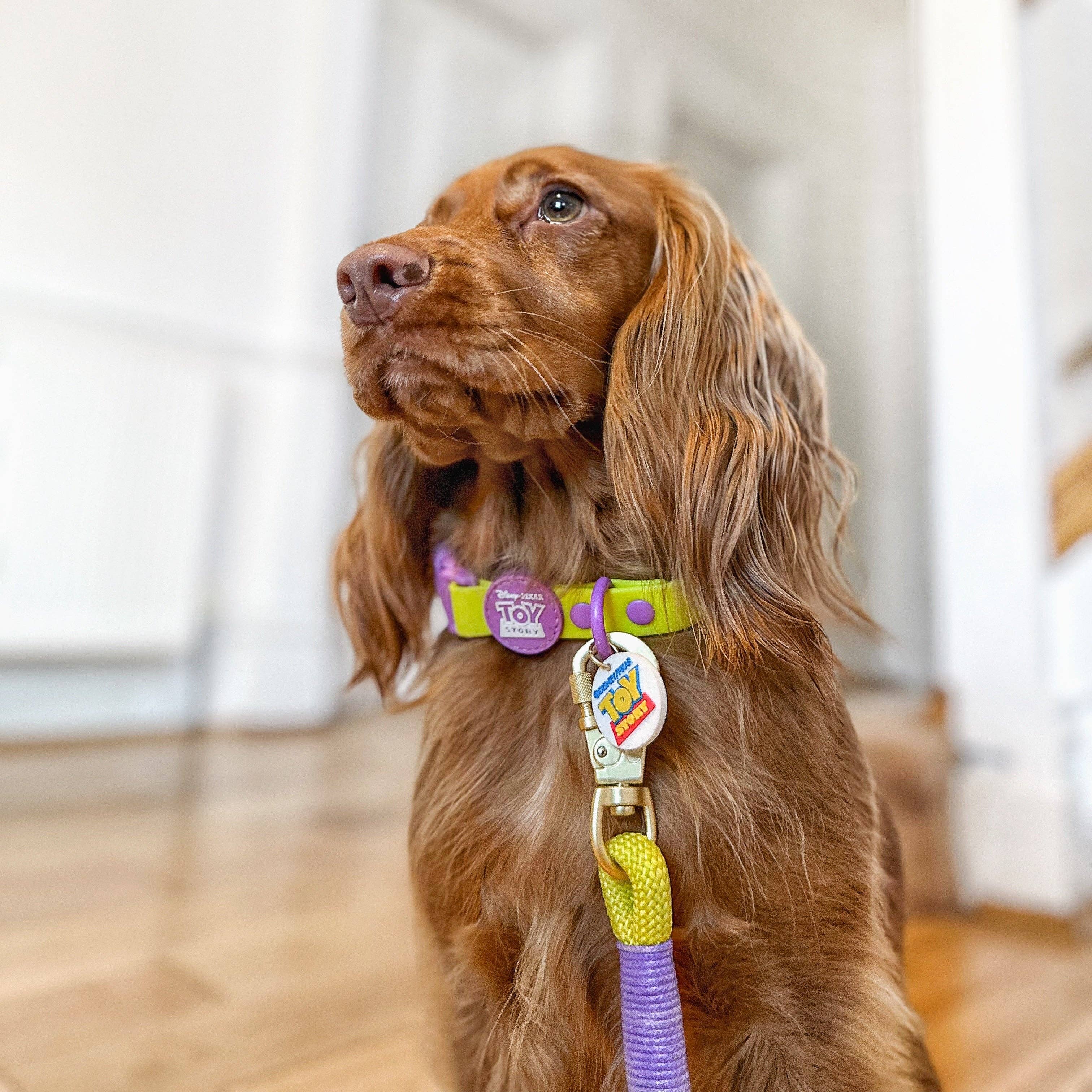 Pawsome Paws – Engroshandel Vedhæng til halsbånd - Kat/hund – Disney© Halsbånd/Line Charm - Toy Story3