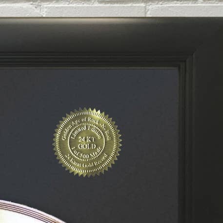 Gold Record Outlet - Venta al por mayor Papel pintado 3D - Expositor para LP de Tina Turner, Private Dancer, con marco dorado