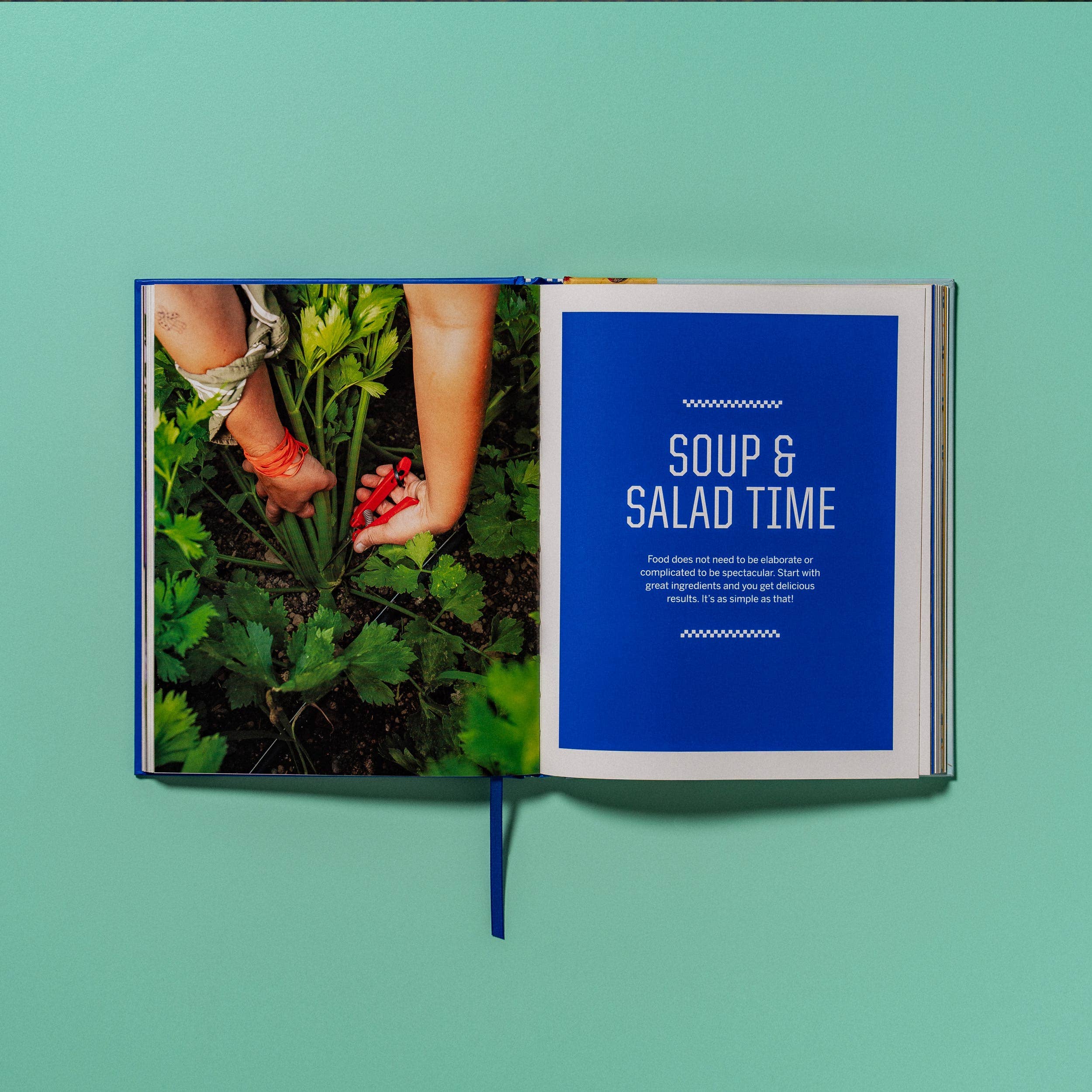 Forts Ferry Farm Shoppe - Wholesale Cookbooks and food - Flavors From the Farm2