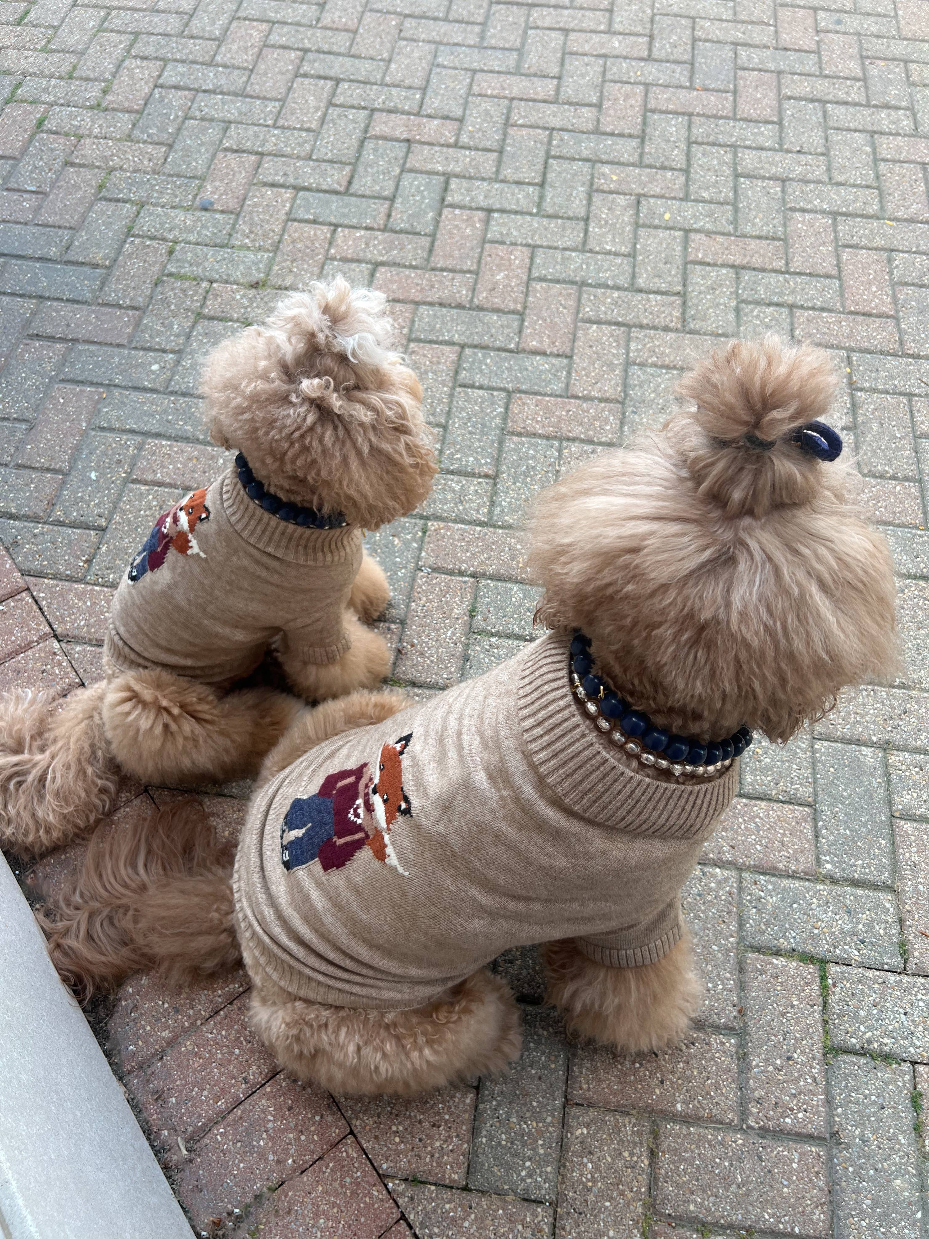 GIGI’S USA – wholesale Tröja - Hund – Foster Rävhundtröja1