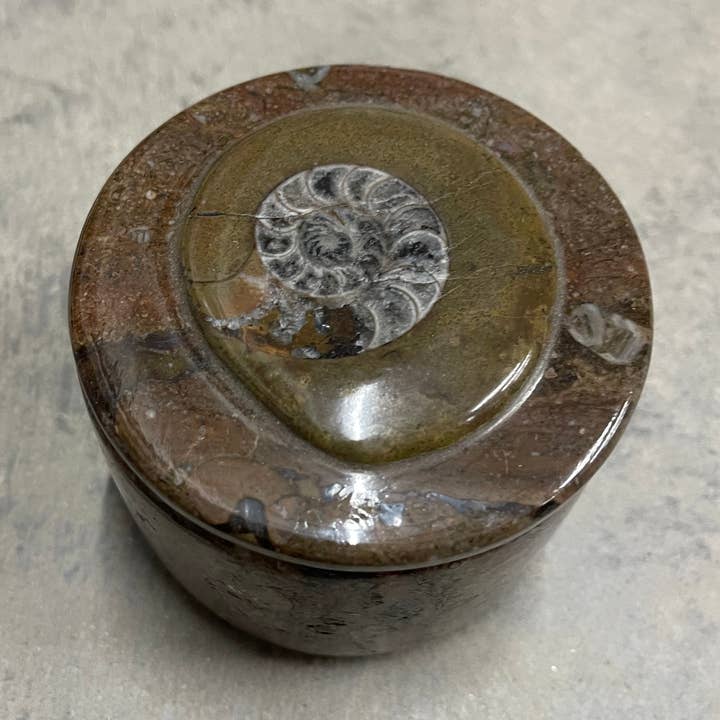 Large Round Fossil Boxes Brown for wholesale by Casablanca Exports