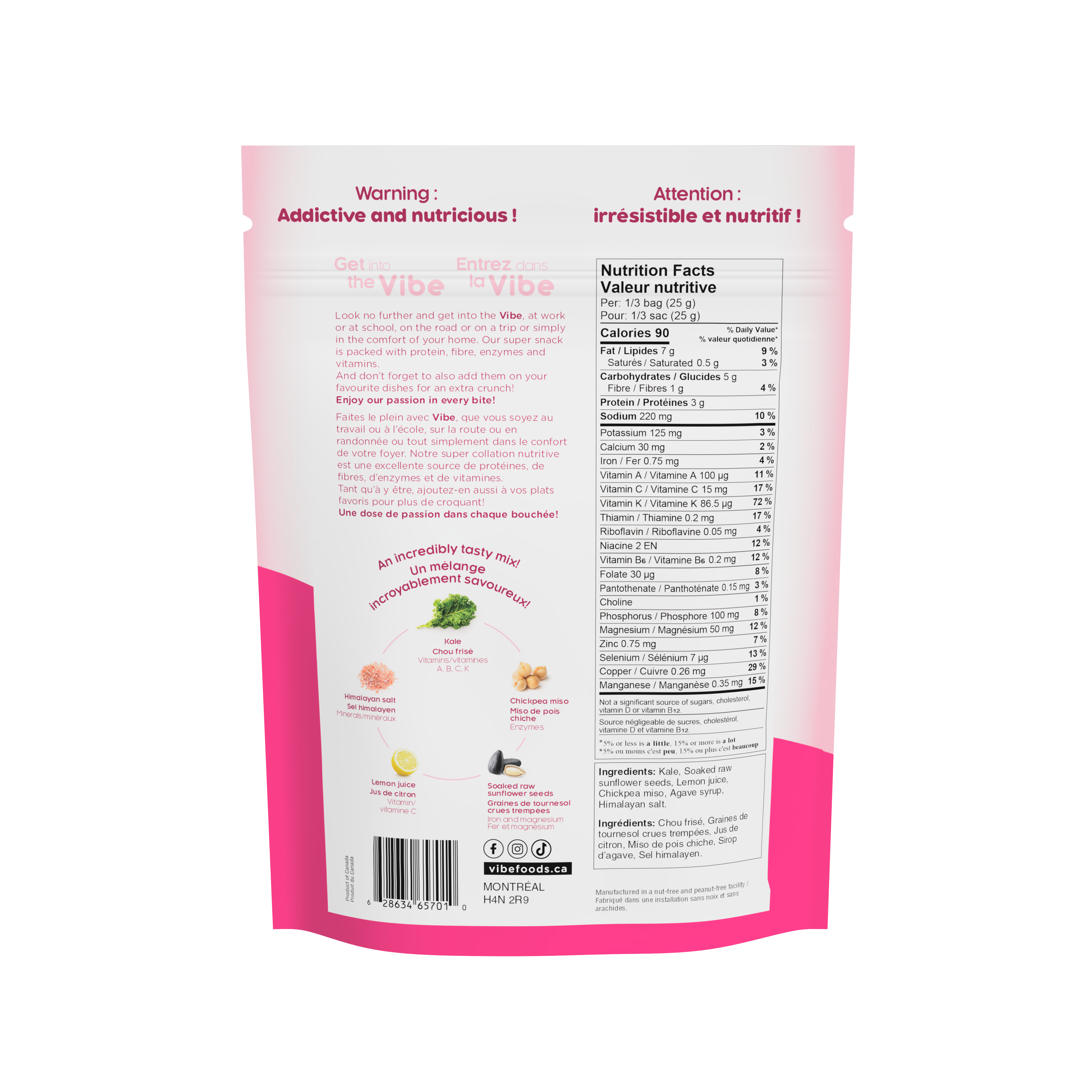 Vibe Foods - Wholesale Chips - Vibe Himalayan salt & Chickpea miso Kale Chips1