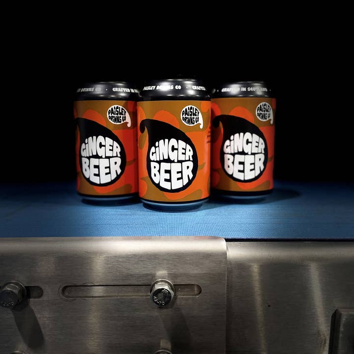 Paisley Drinks Co & Williams Brothers Brewery - Wholesale Soda/Carbonated Drink - Ginger Beer - Craft Soda - Natural - Vegan1