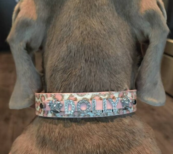 House of FurBaby - Wholesale Pet Collar - Cat/Dog - DIY Pet Collar Bar Kit: Silver Sparkle 280 Pieces $600 Value8