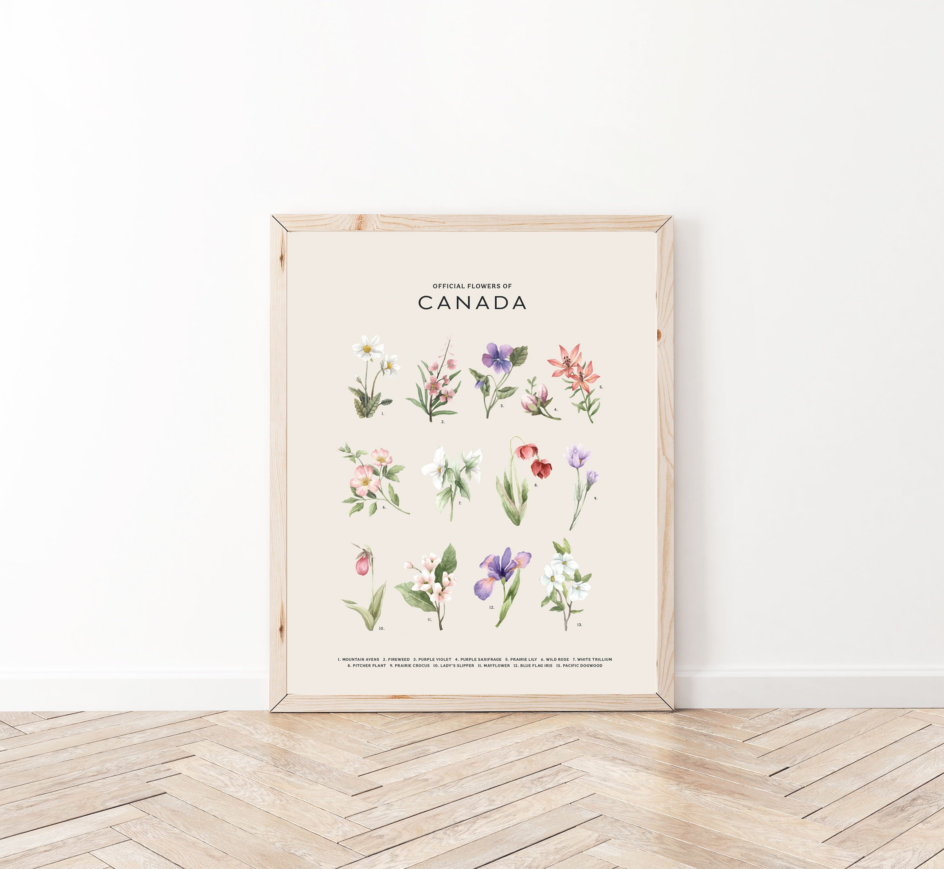 Natasha Vanderburg Co. - Wholesale Art Print - Official Flowers of Canada Art Print5