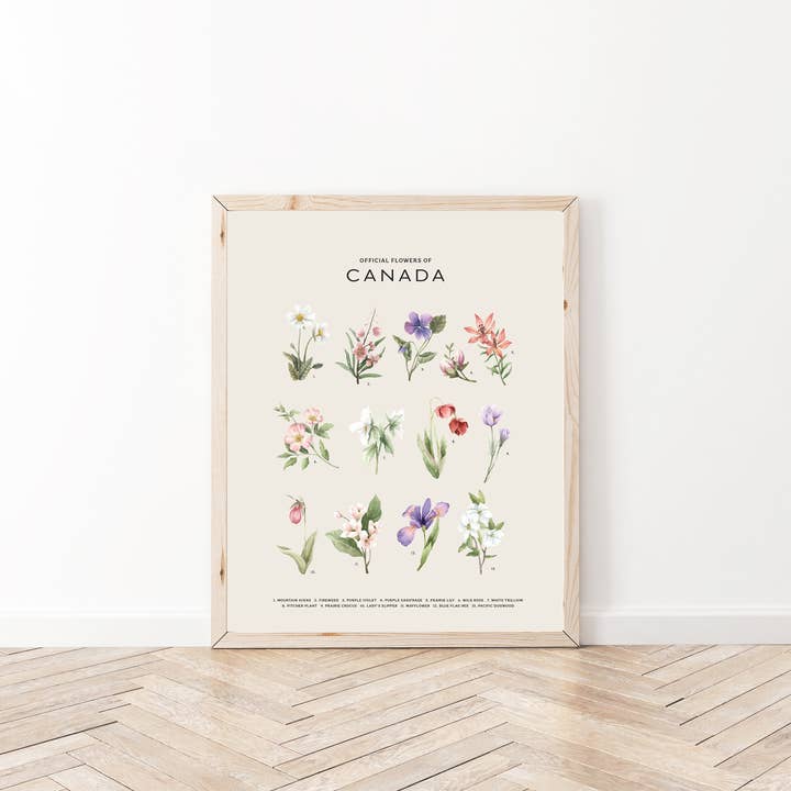 Natasha Vanderburg Co. - Wholesale Art Print - Official Flowers of Canada Art Print5