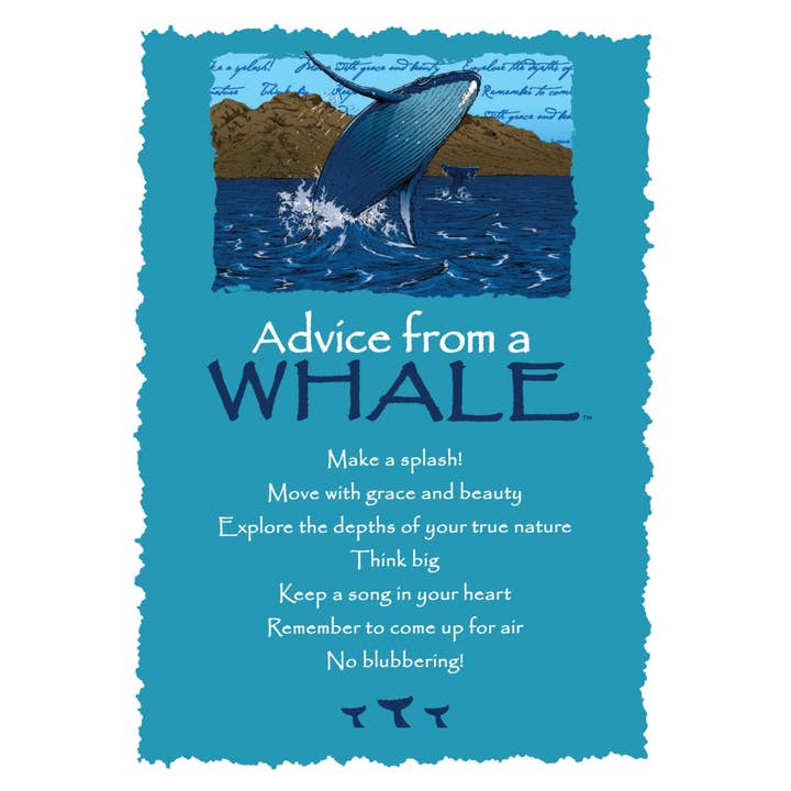 Advice for Life by Your True Nature - Wholesale Everyday Greeting Card - Advice from a Whale Greeting Card - Blank