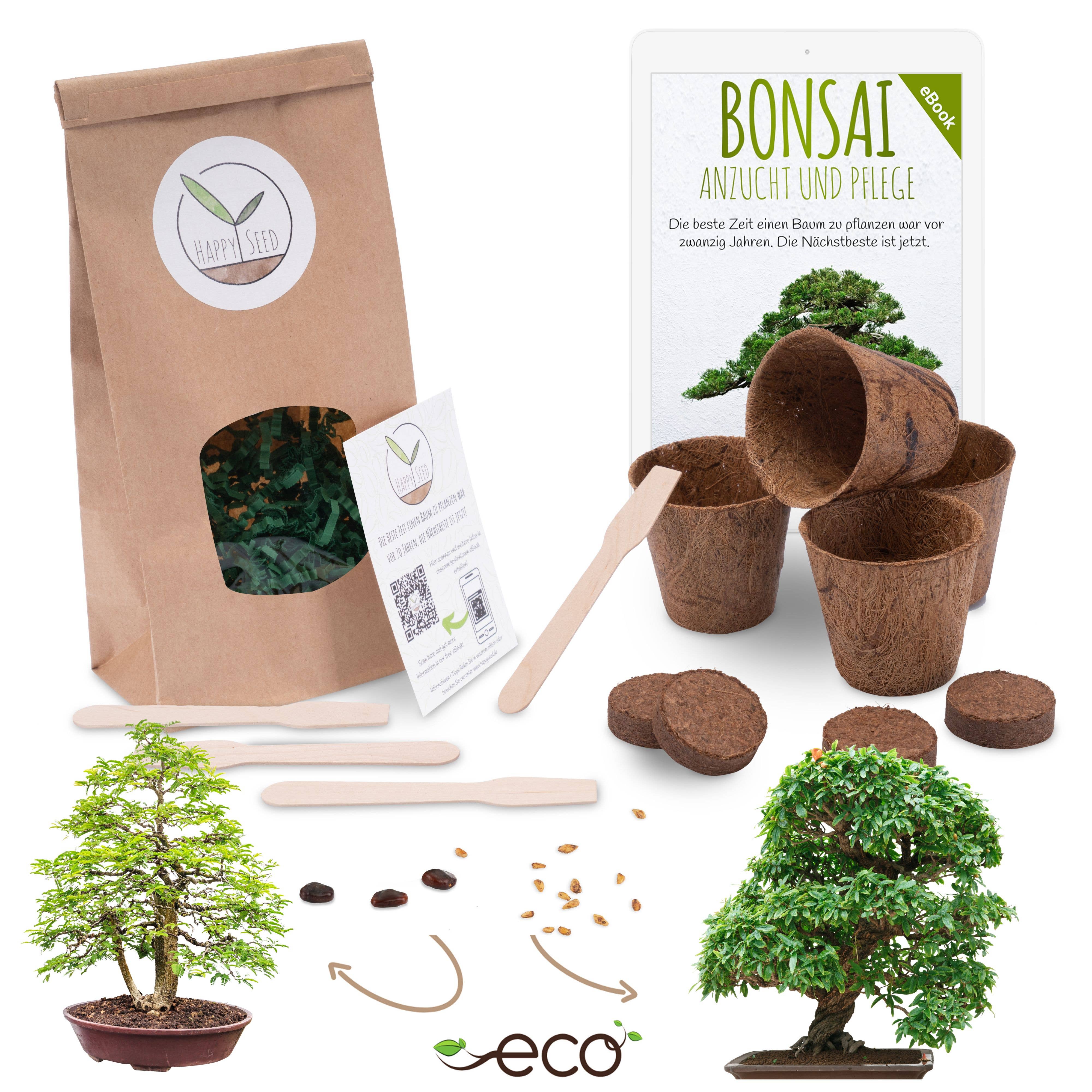 Vendix GmbH - Wholesale Plant Seeds - Bonsai starter kit growing kit including free eBook6