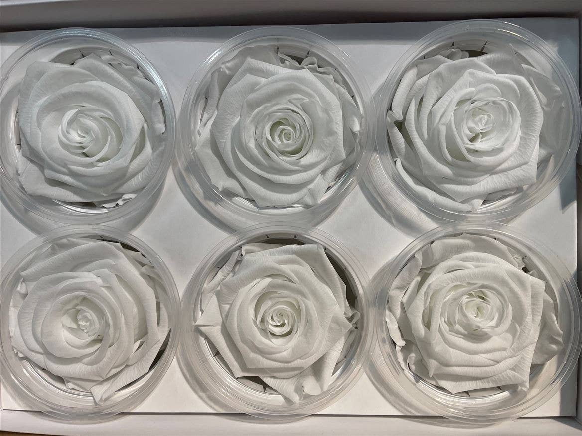 Dutch Flower Studio - Wholesale Artificial Flowers - 🌸 Preserved Roses - 13 colors - Decoration - Flowers - 6 cm5