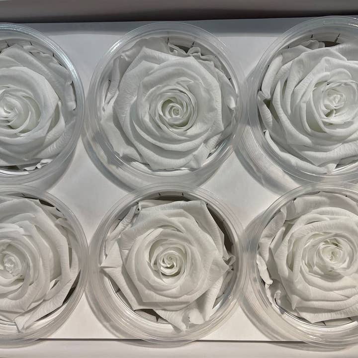 Dutch Flower Studio - Wholesale Artificial Flowers - 🌸 Preserved Roses - 13 colors - Decoration - Flowers - 6 cm5
