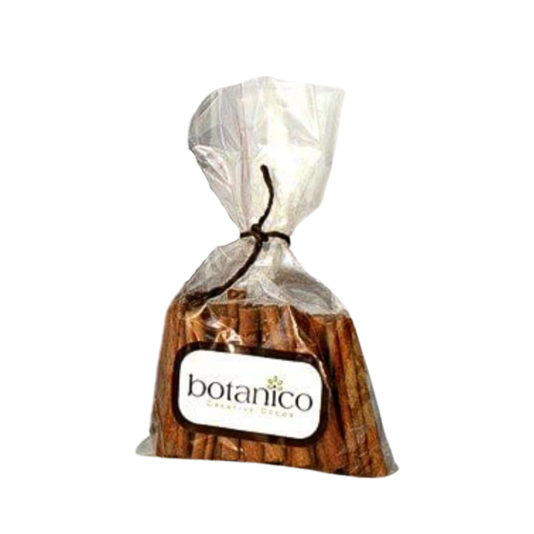 Botanico Ltd. – wholesale Torkade/pressade blommor – Kanelstänger3