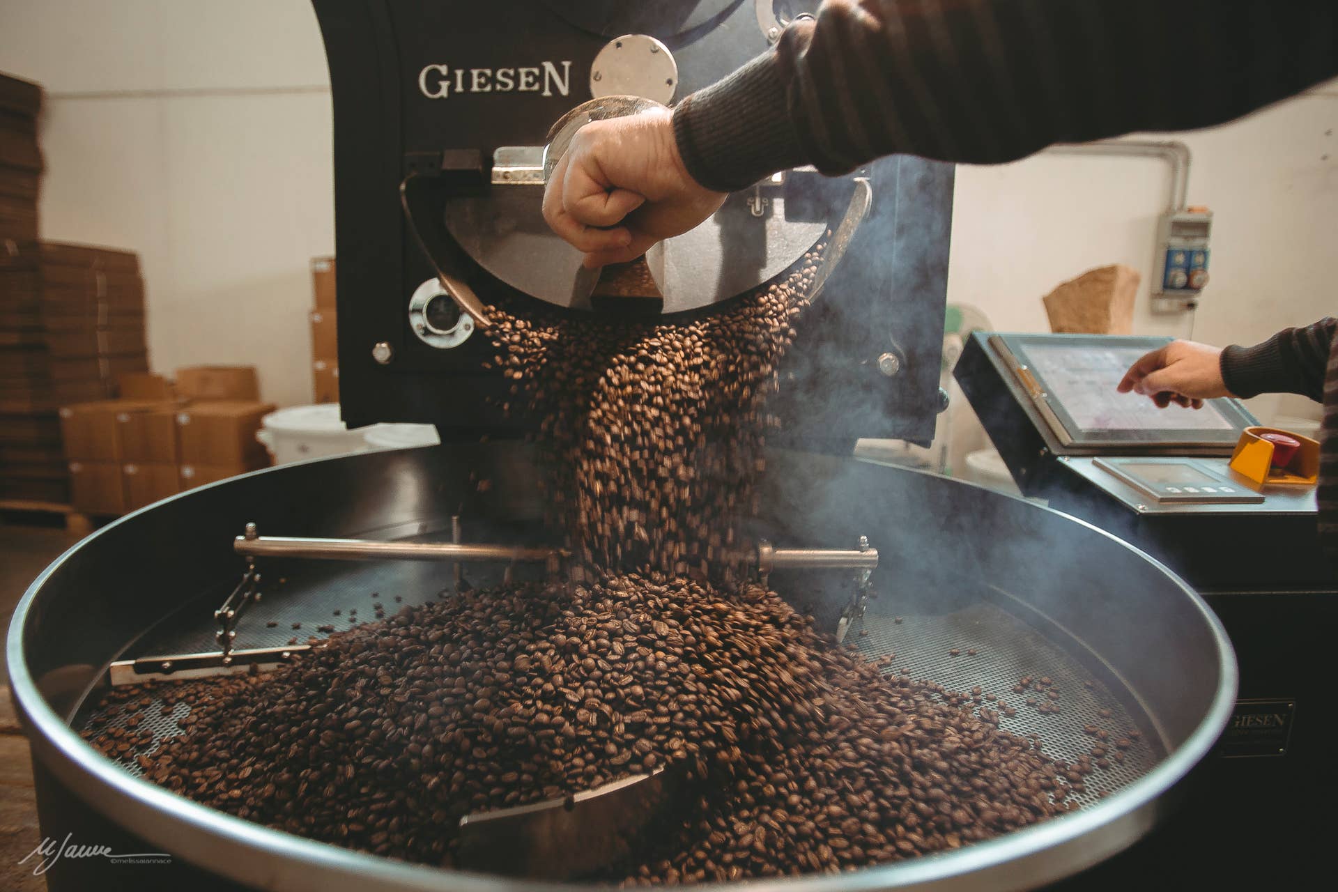 Cafe srls - Wholesale Coffee Beans - M'AMA PREMIUM PACK 250g x 48 pcs of coffee beans and ground 5