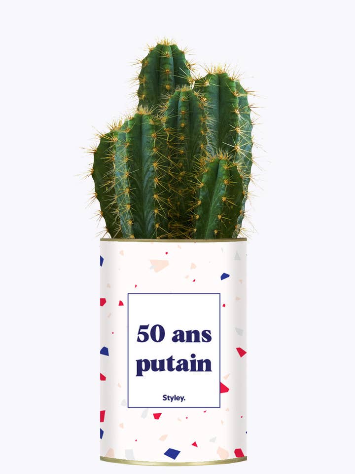 50 Ans Putain - Plante for wholesale by Styley