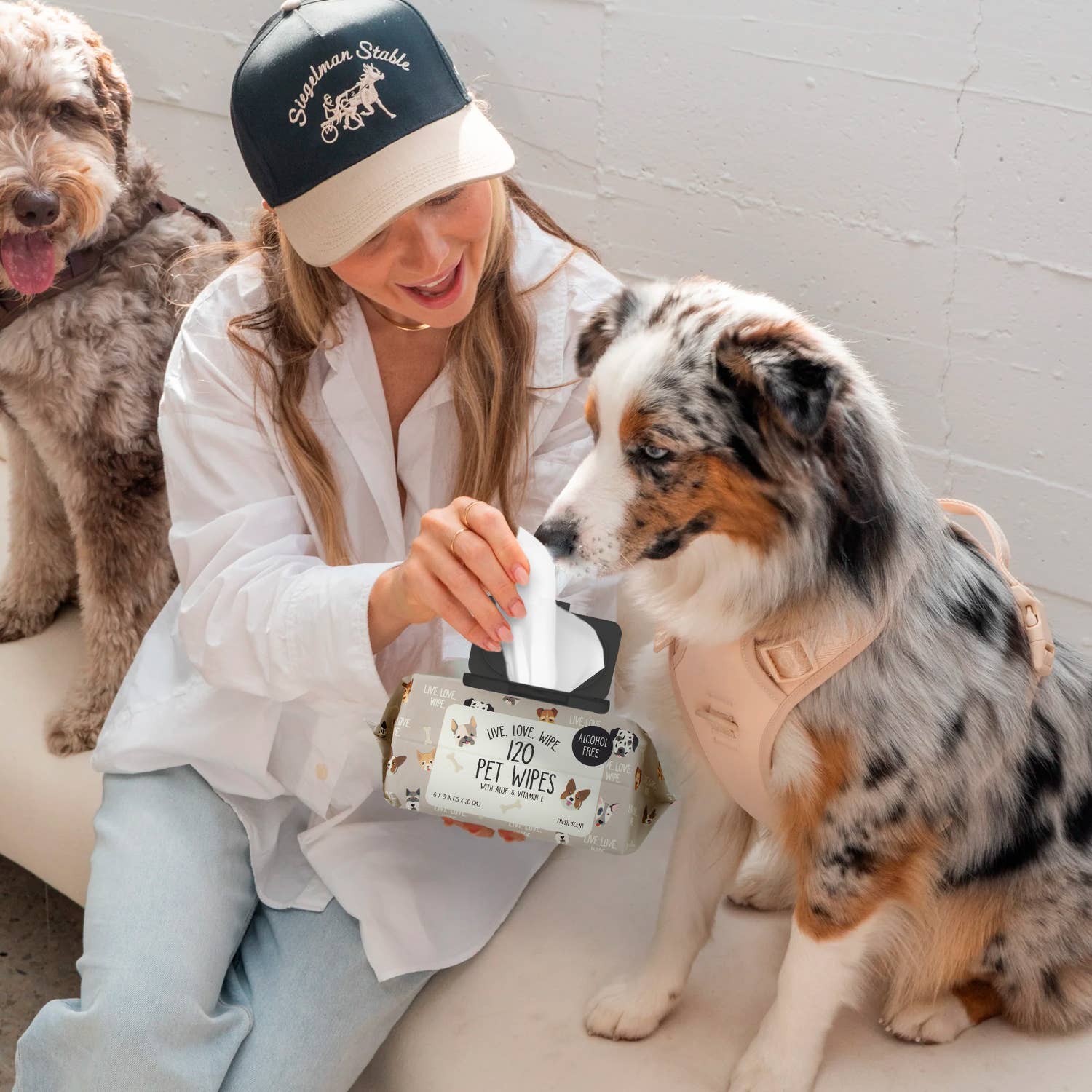 Precious Tails - Vente Produit de toilettage – chien - Lingettes de toilettage pour animaux Precious Tails - 120 ct.5