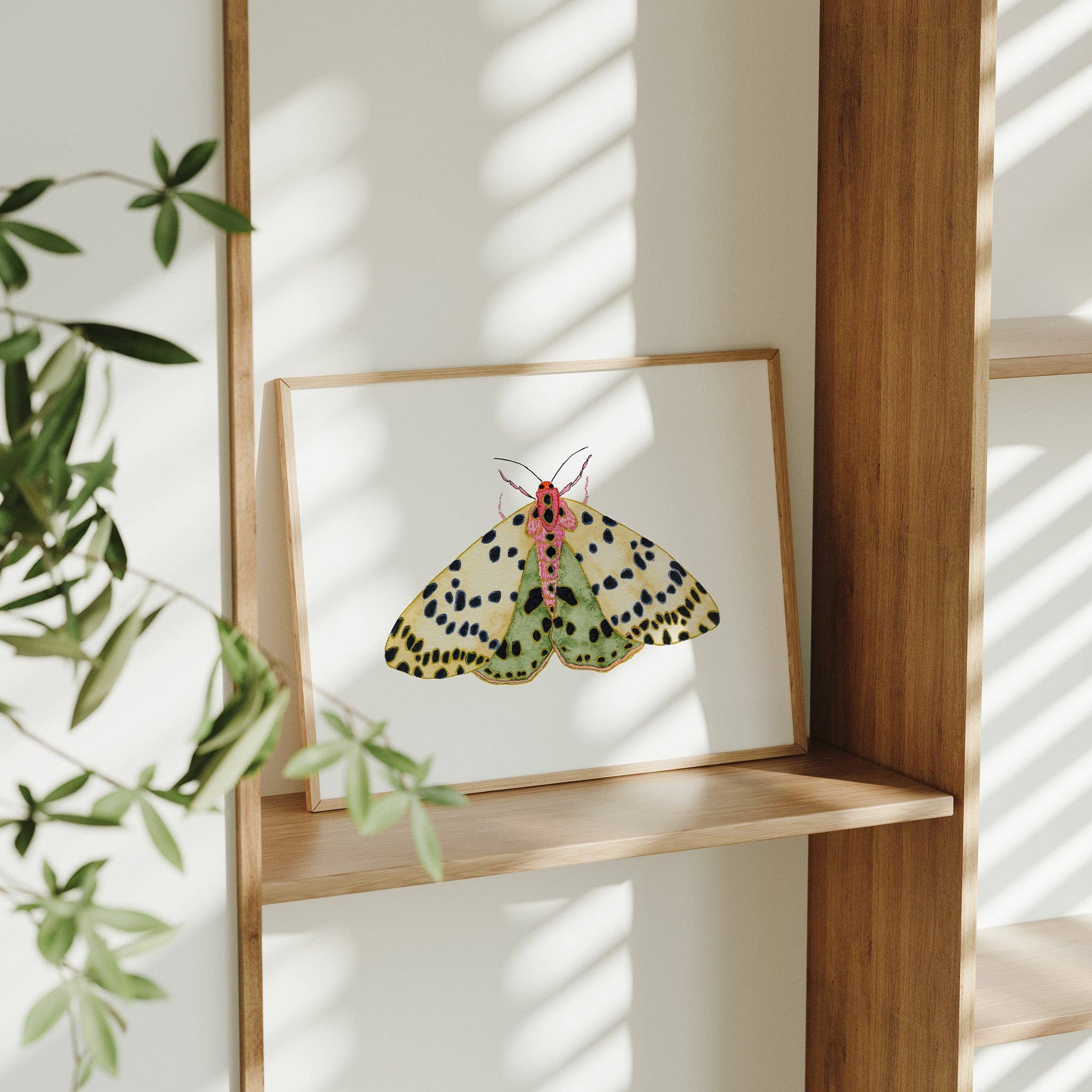 Snoogs & Wilde Art – wholesale Art print – Moth No. 75