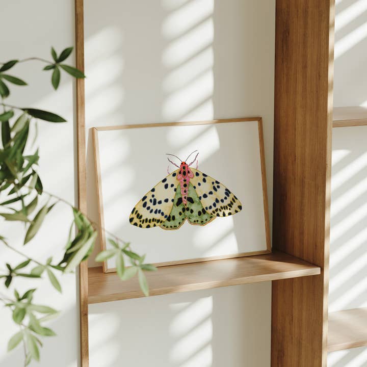 Snoogs & Wilde Art – wholesale Art print – Moth No. 75
