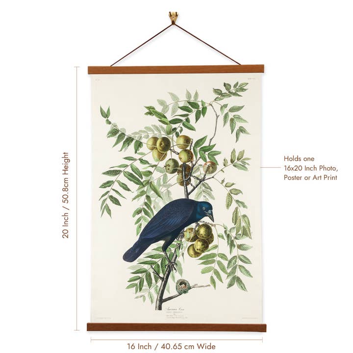 Vintage Banners - Wholesale Art Print - American Crow - John James Audubon - Wall Art Canvas