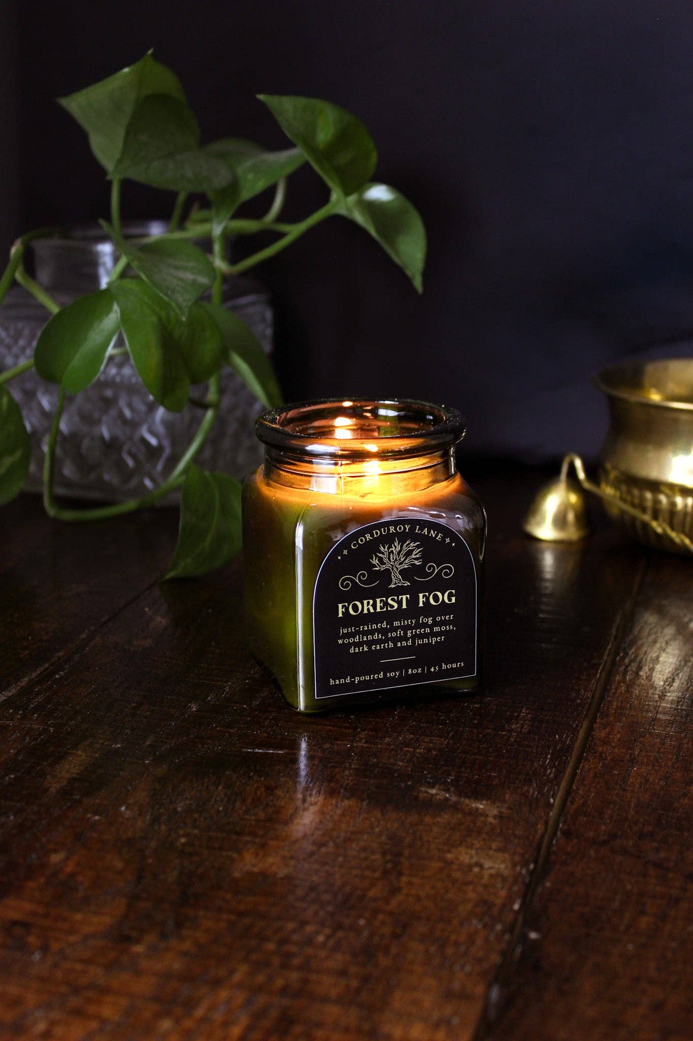 Corduroy Lane - Wholesale Jar/Filled Candle - Forest Fog Apothecary Candle6