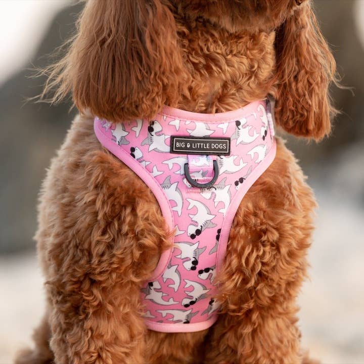 Big and Little Dogs - Wholesale Pet Harness - Dog - ADJUSTABLE DOG HARNESS: Bite Me (Pink Version) {DISCONTINUED}