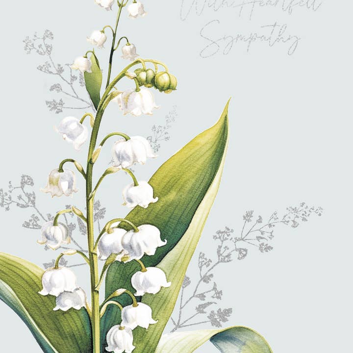 Notes & Queries, Inc. - Wholesale Sympathy Card - SYMPATHY LILY GREETING CARD LING