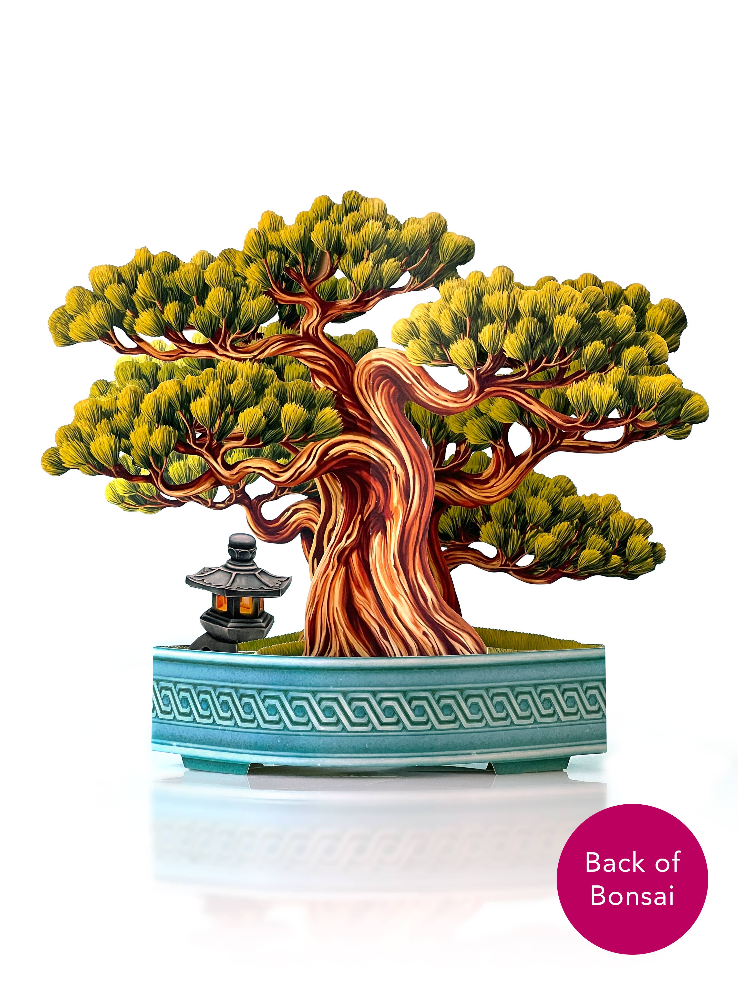FreshCut Paper LLC - Wholesale Everyday Greeting Card - Wisdom Bonsai (8 Pop-up Greeting Cards)2