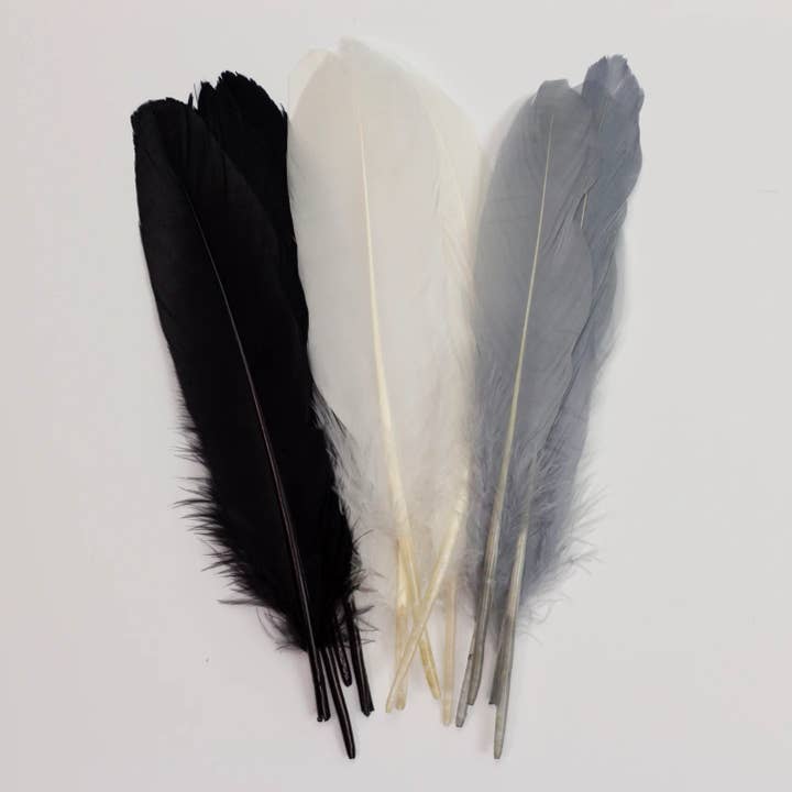 Zucker Feather Products - Wholesale Craft Supplies - Goose Feathers 7-8" - 12 pcs - Black and White