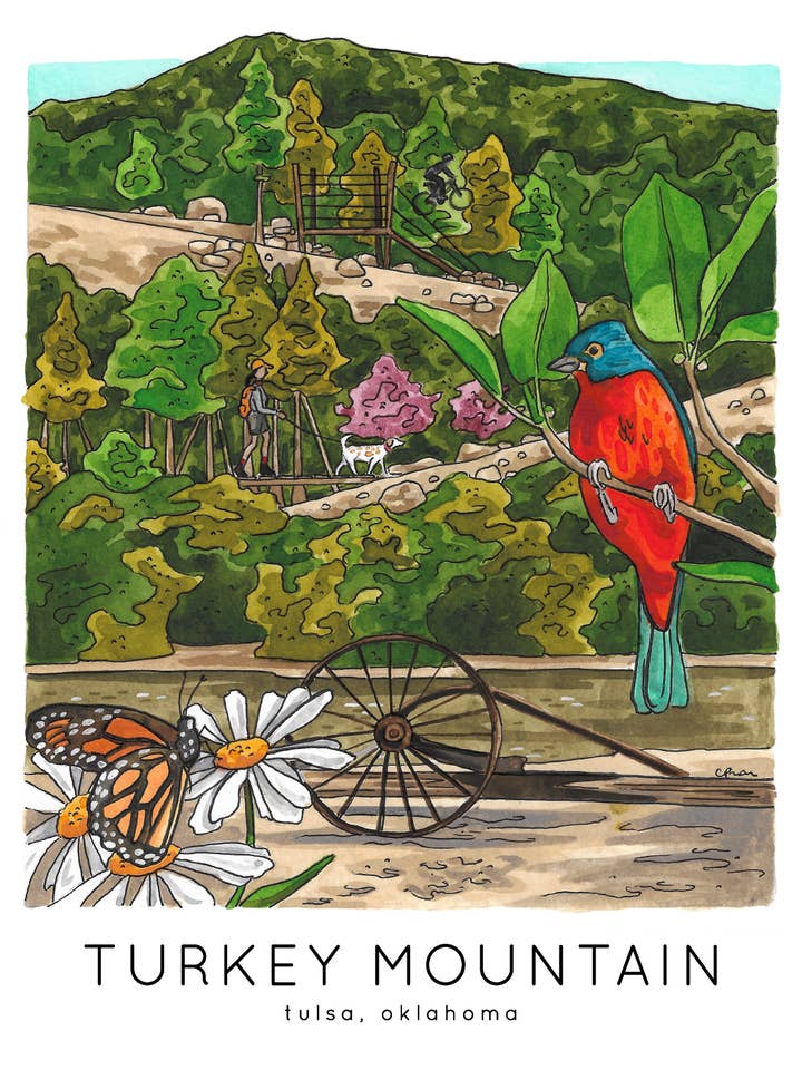 Turkey Mountain Urban Wilderness Tulsa, OK Print for wholesale by Jelly Press