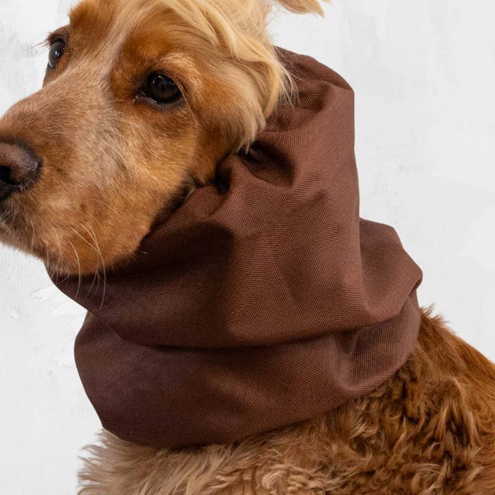 Vandtæt Hundehætte | Chokolade for engroshandel hos Distinguish Me