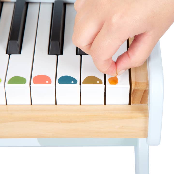 small foot - Wholesale Musical Toy - Kids & Baby - Piano "Groovy Beats"2