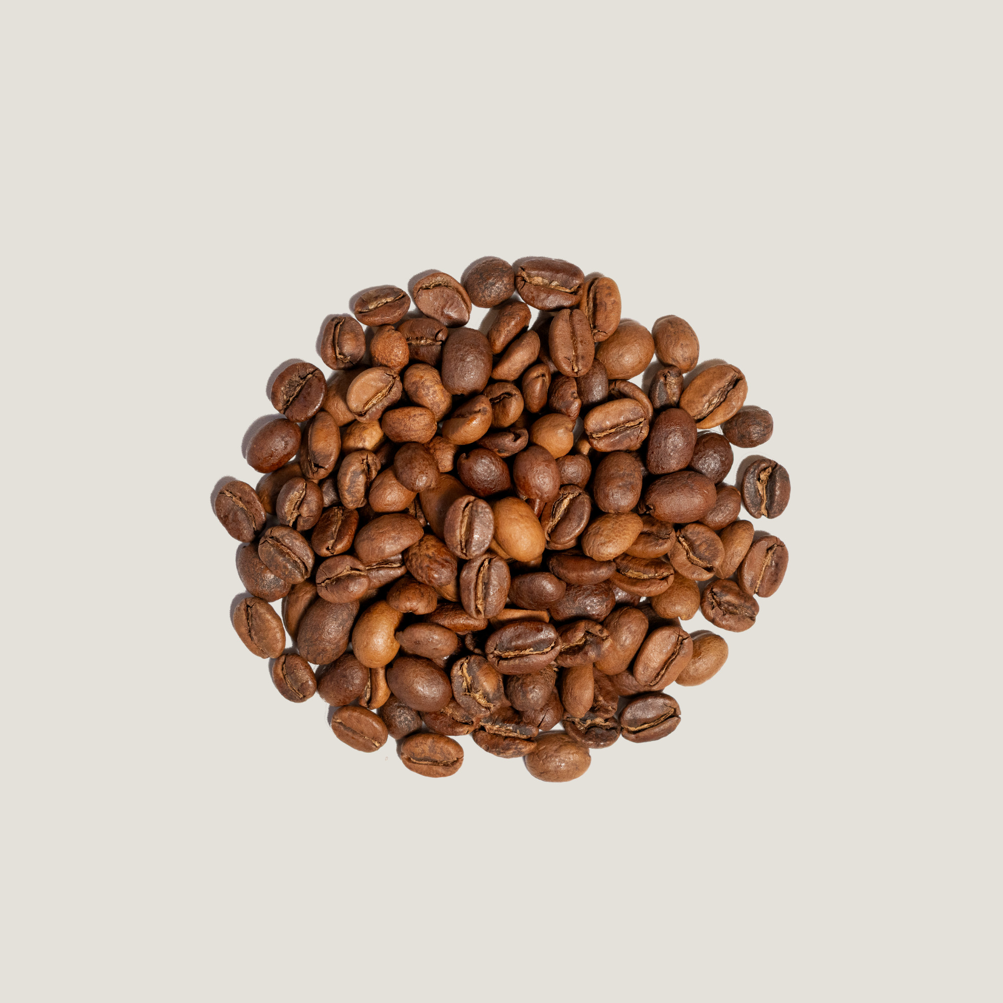 Red Rooster Coffee Roaster - Wholesale Coffee Beans - Ethiopia Worka Sakaro Anaerobic Natural Light Roast Coffee4