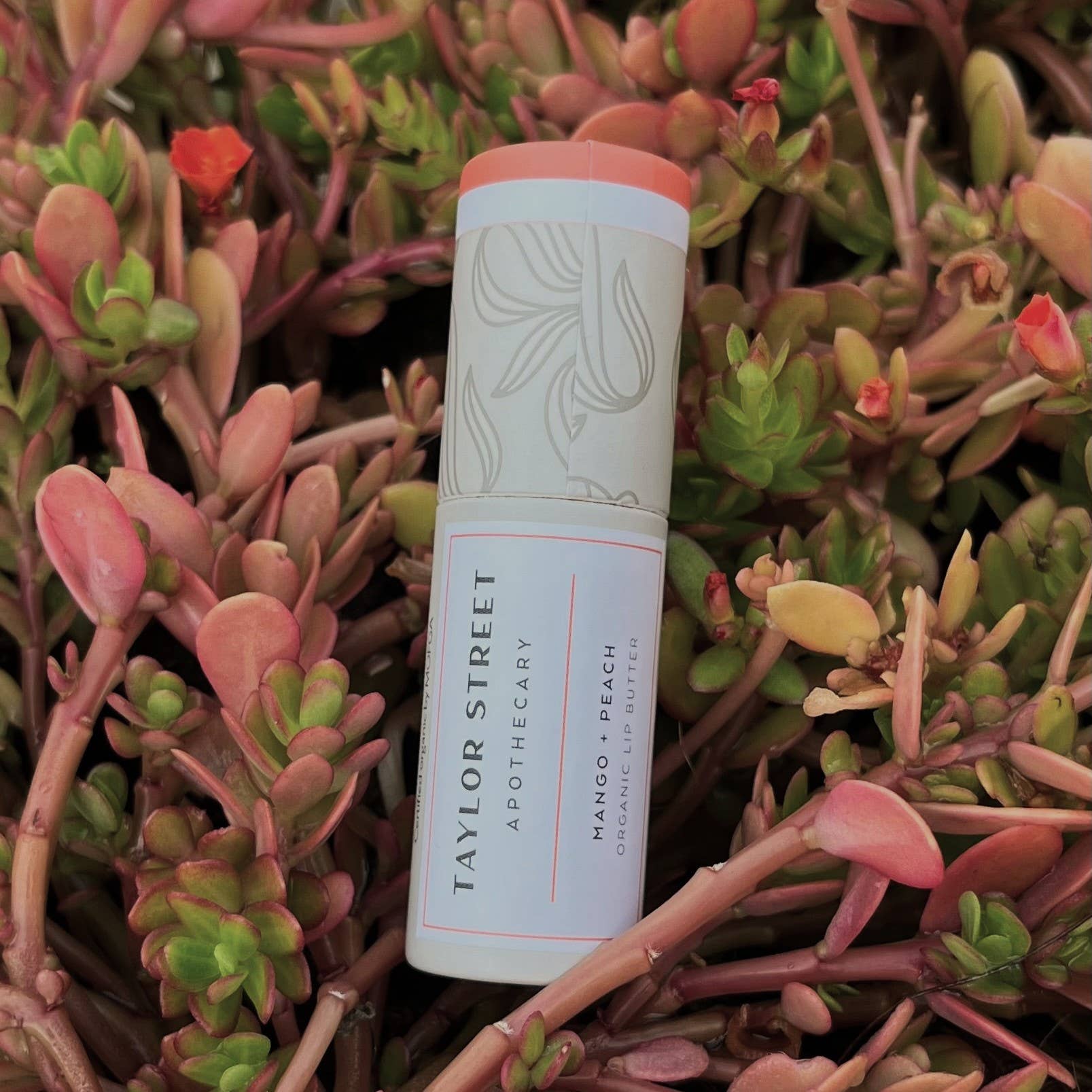 Taylor Street Apothecary - Wholesale Lip Balm - Mango + Peach Lip Butter2