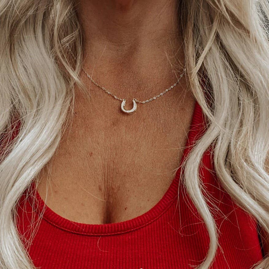 Texas Western Cowhide Bags and More - Wholesale Halskettinghanger - Gouden of zilveren hoefijzerketting met kunstdiamanten2