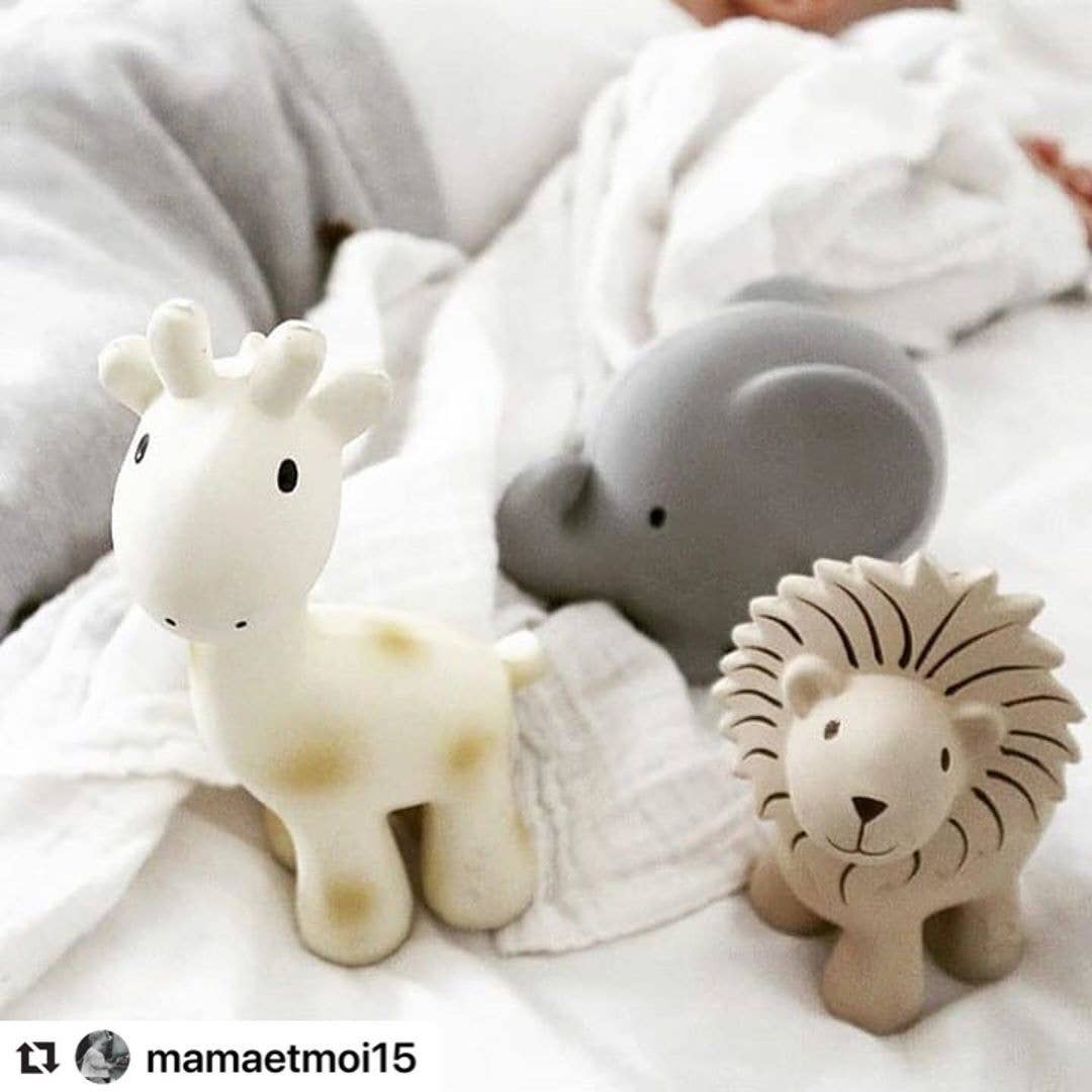 Tikiri Toys LLC - Wholesale Bath Toy - Baby - Elephant Natural Organic Rubber Teether, Rattle & Bath Toy9