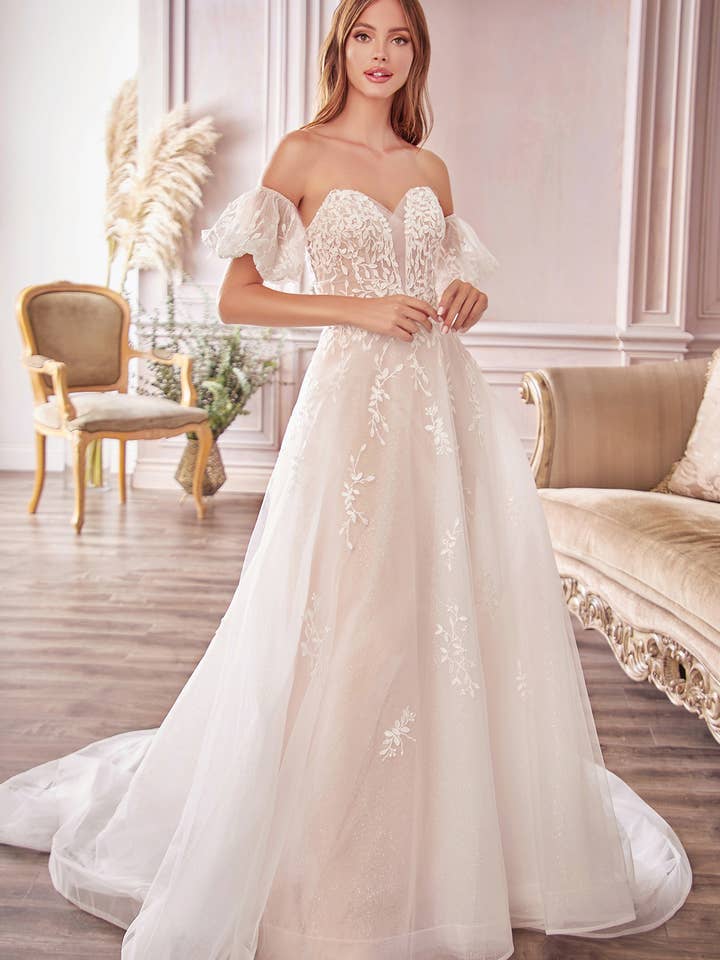 WILLOW BRIDAL GOWN for wholesale by Ladivine by Cinderella Divine