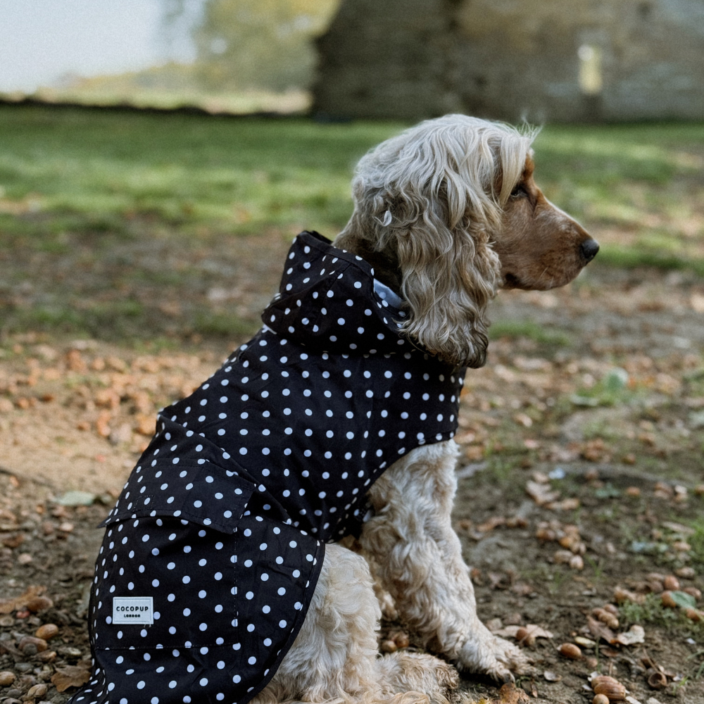 Cocopup London - Wholesale Pet Raincoat - Dog - Dog Raincoat - Black Polka Dot10
