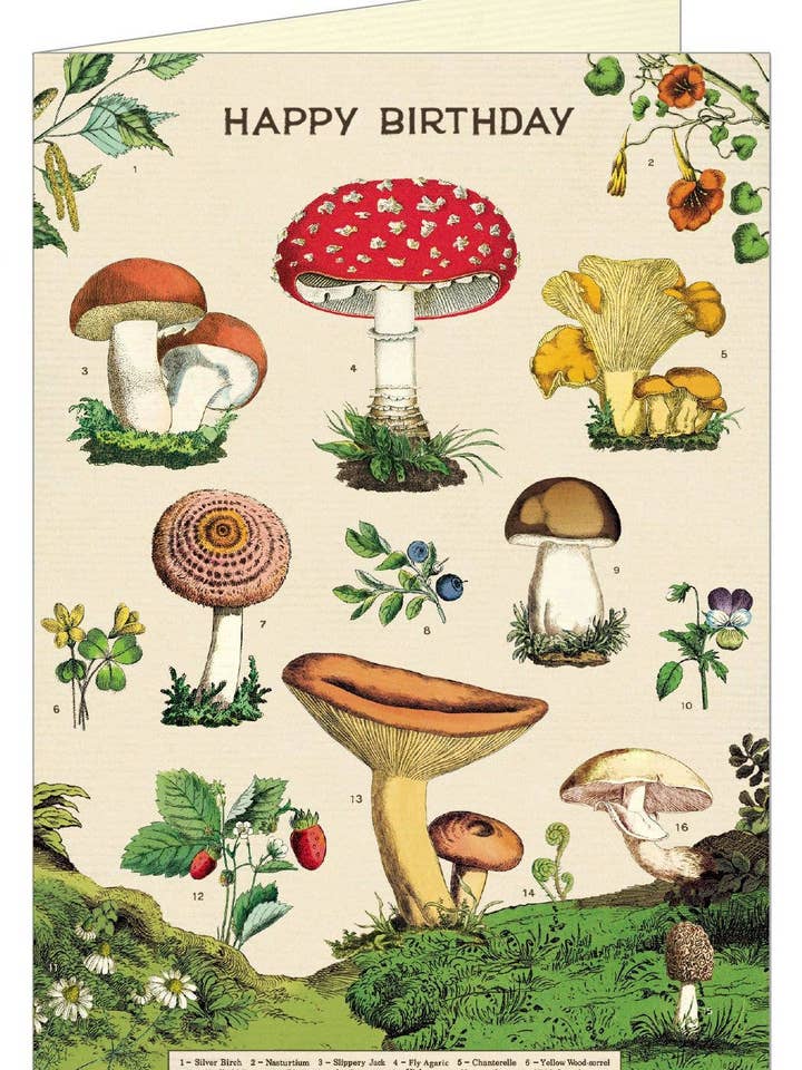 Cavallini Greeting Card - Happy Birthday Forage for wholesale by Cavallini & Co