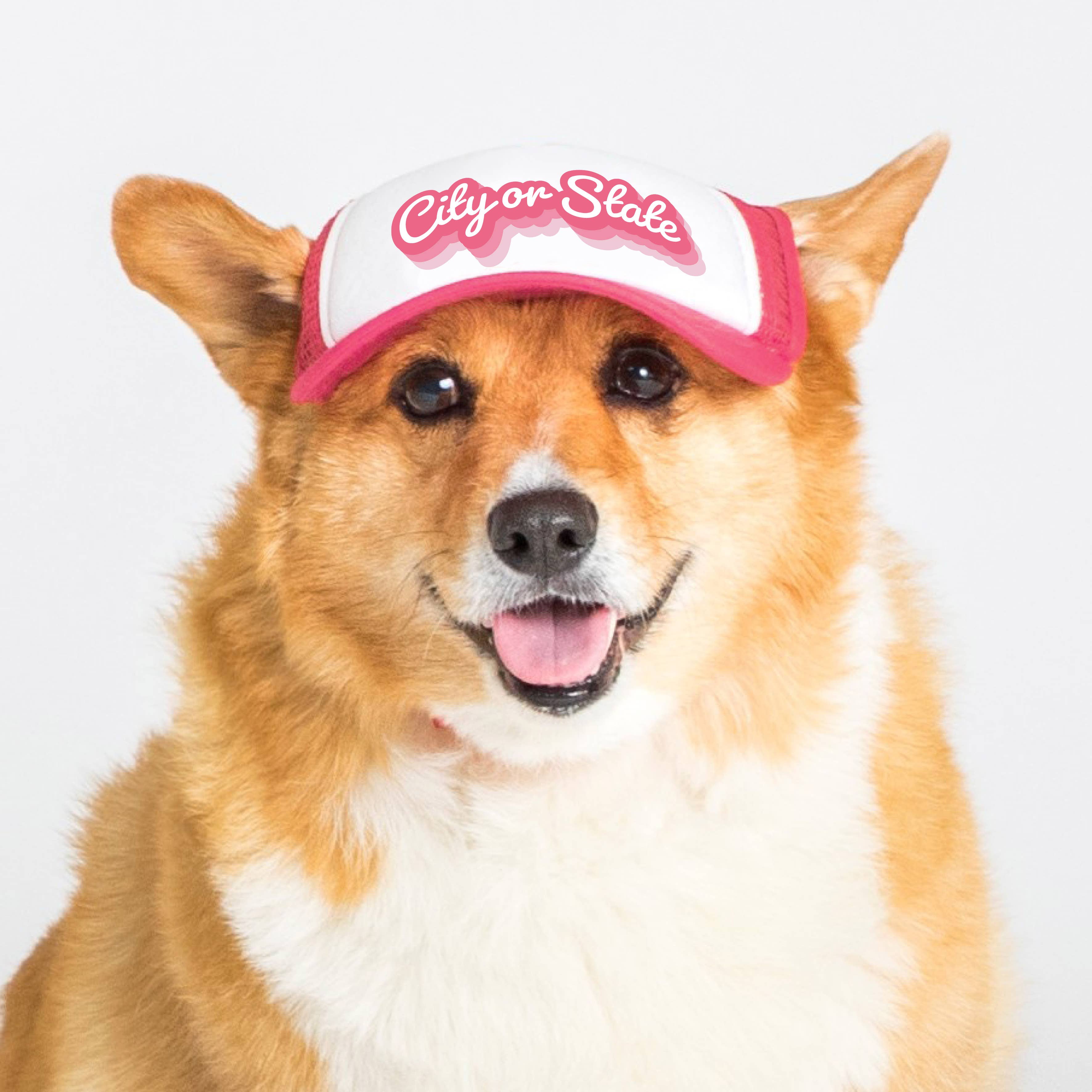 PupLid - Wholesale Pet Hat - Dog - Custom Retro Text | Trucker Hat for Dogs4