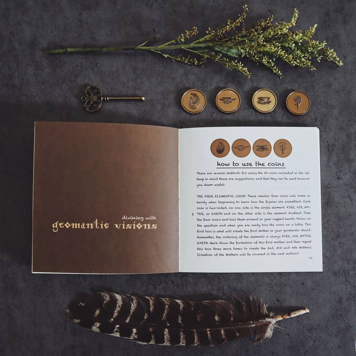 Prisma Visions - Wholesale Meditation Supplies - Geomantic Visions (Set of 20 Coins)