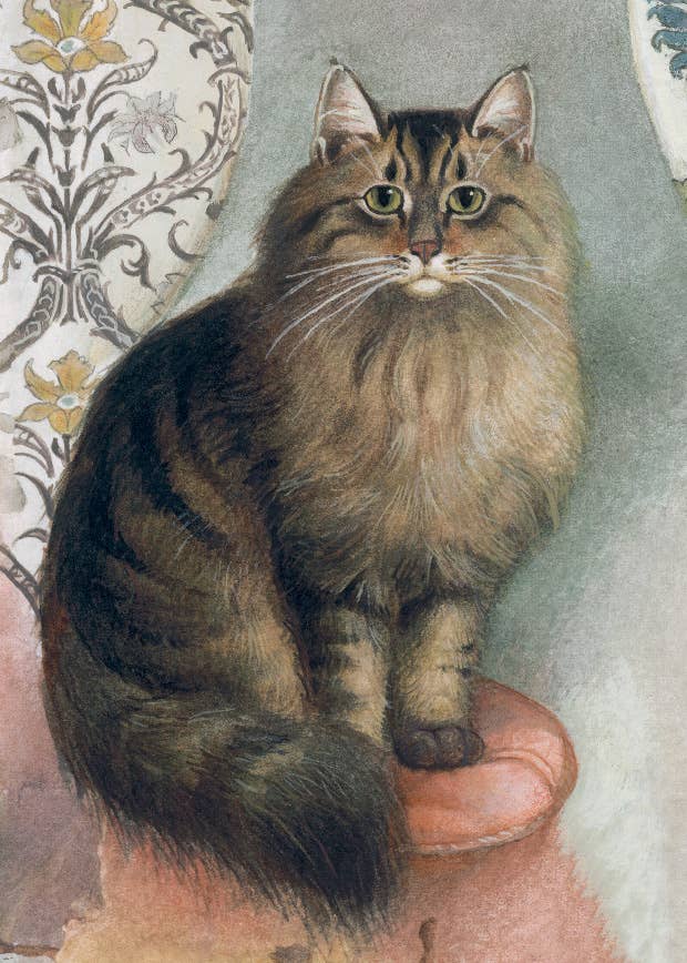 Bomo Art Budapest - Wholesale Everyday Greeting Card - Greeting Card + Envelope81