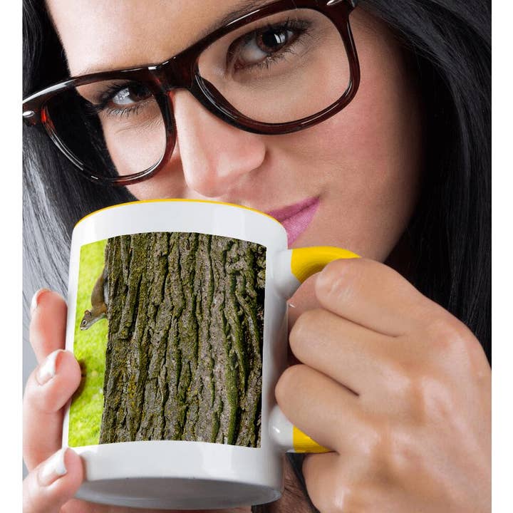 3dRose - Wholesale Coffee Mug - 3dRose, American red squirrel or pine squirrel on tree, Edwards, Colorado, Mug1