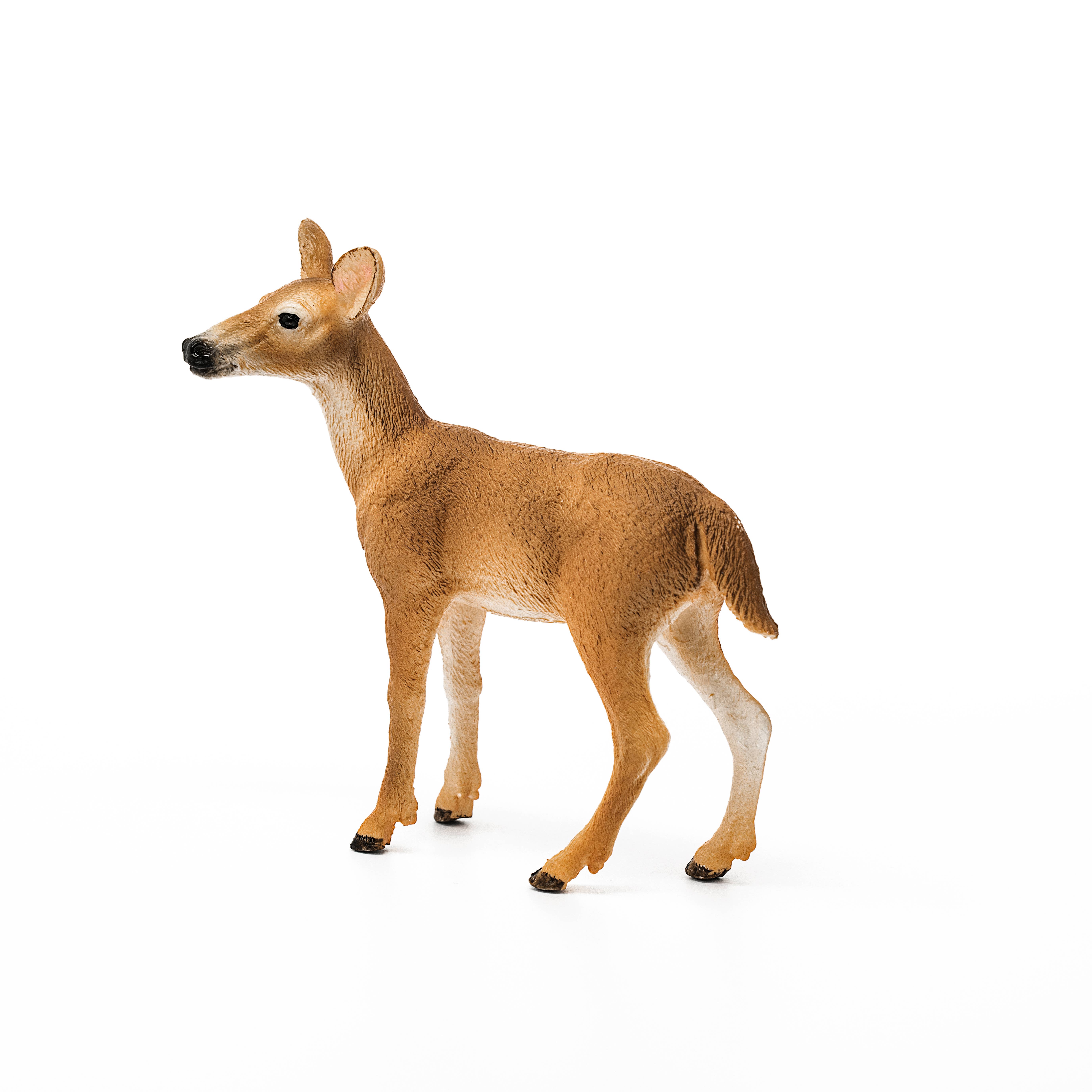 Schleich - Wholesale Figurine Toy - Kids - White-Tailed Doe Forest Animal Toy2
