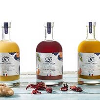 Ginger&Ginger - Wholesale Non-Alcoholic Aperitif/Mocktail - Organic concentrated ginger/turmeric juice 500ml - Alcohol-free