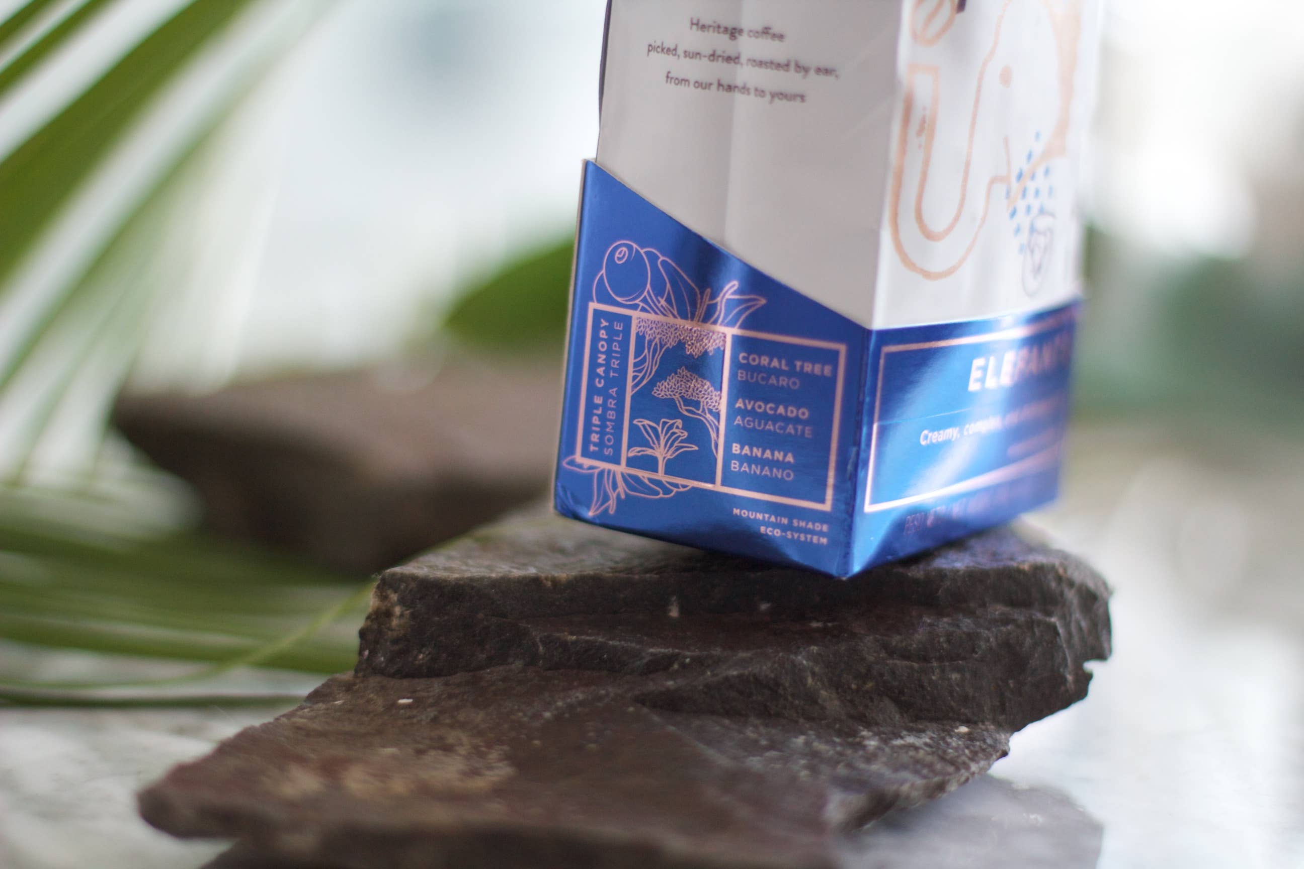 Twin Engine Coffee - Wholesale Ground Coffee - Elefante Reserve Maragogype  Organic Fair / Ground COFFEE3