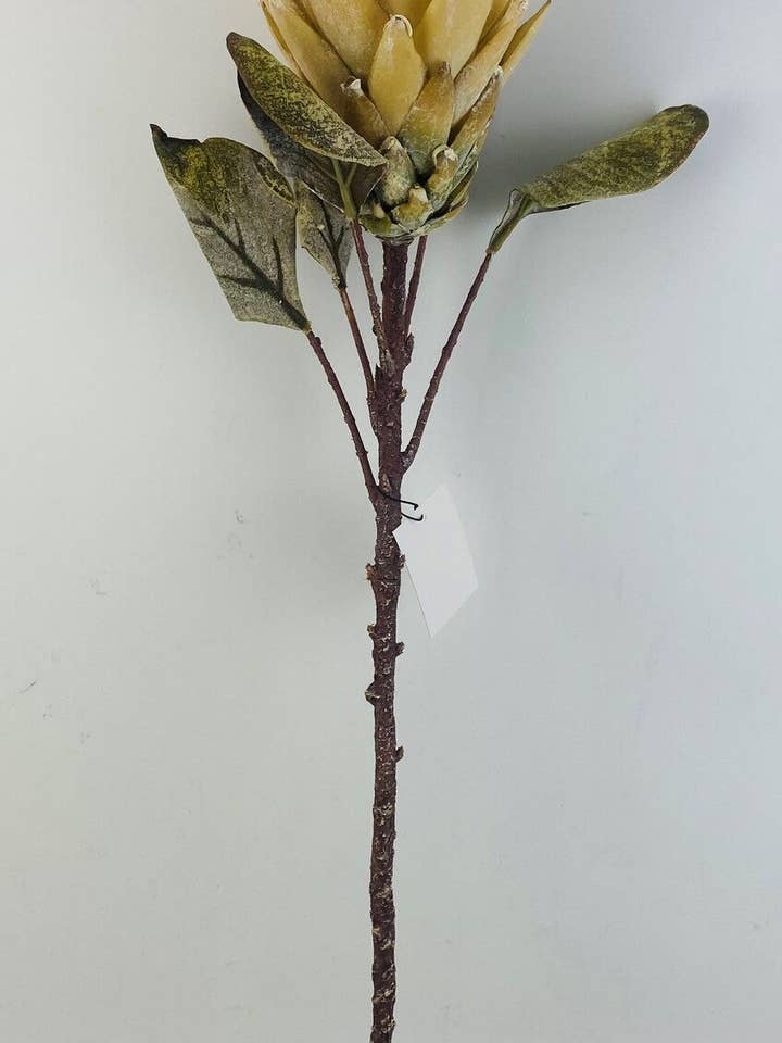 29" Protea Spray, Cream for wholesale by Tremont Floral Supplies