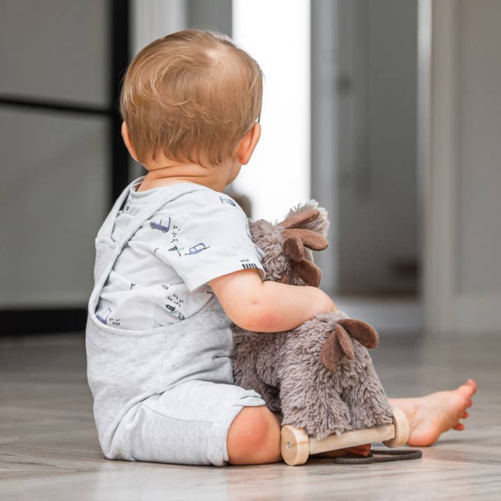 Little Bird Told Me Uk – wholesale Classic toy – Kids – Norbert Donkey Pull Along Toy - children's toys, wooden toys5