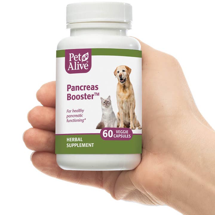 Pet Alive - Wholesale Pet Supplement - Cat/Dog - PetAlive® Pancreas Booster™1