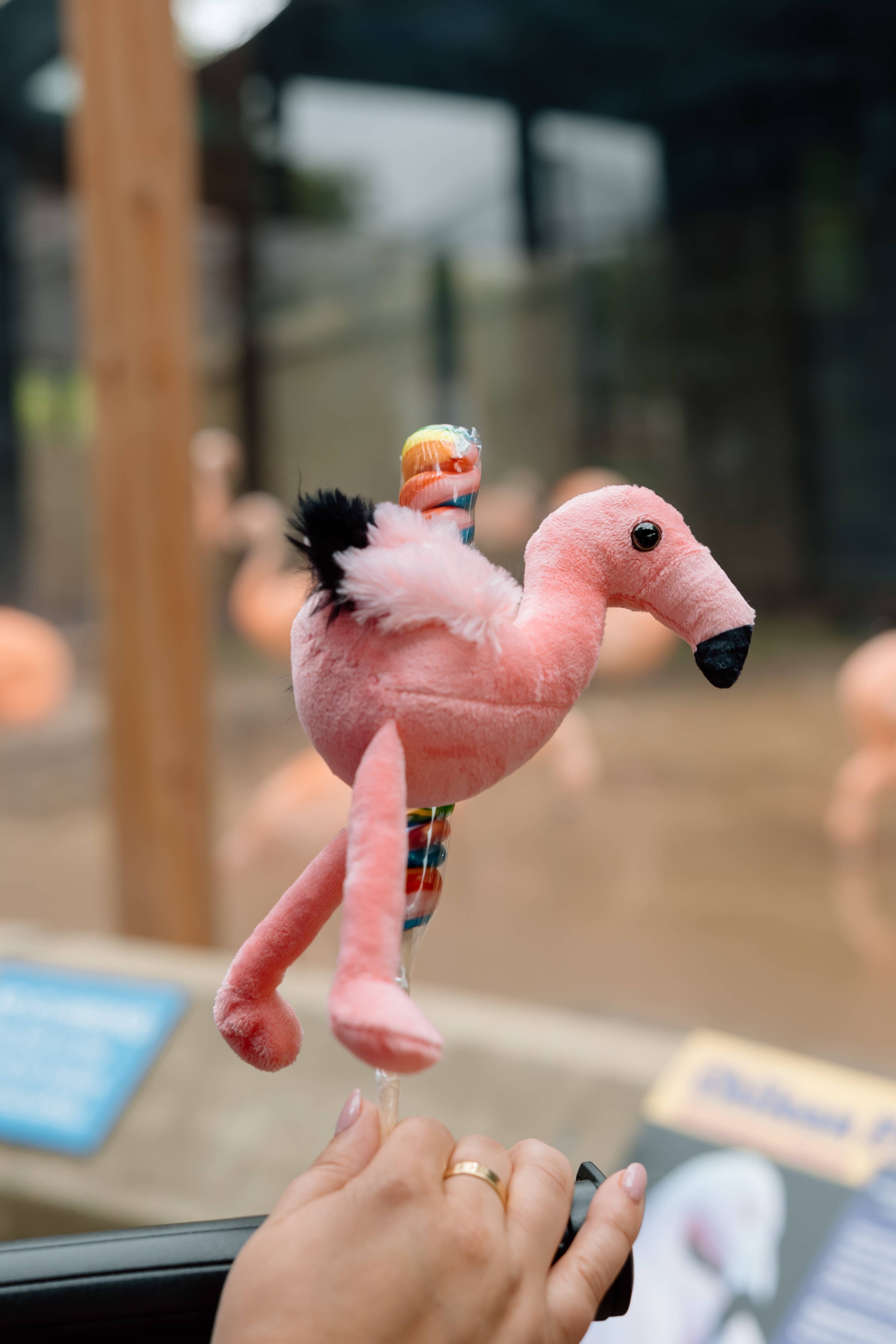 The Petting Zoo - Vente Sucettes - Singe pirate en peluche Lolly de 6 po (15 cm)2